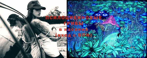 экстази Кукмор