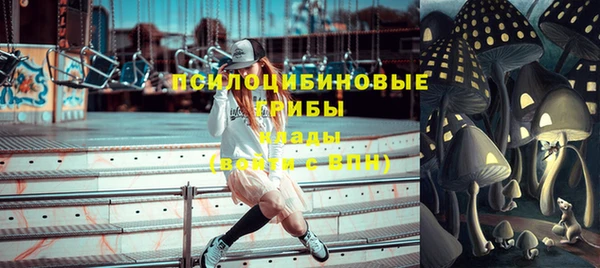 прущие крисы Лабытнанги