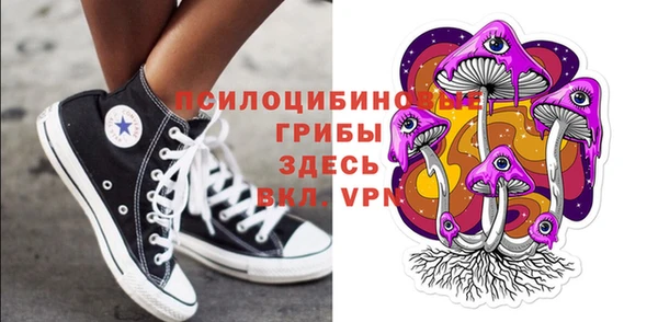 экстази Кукмор