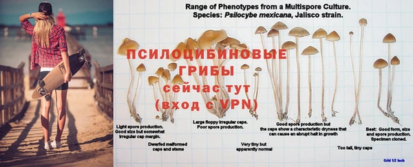 винт Куйбышев