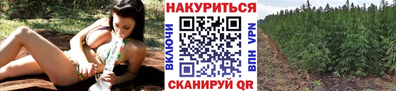 Купить закладки  Анива  Марихуана планчик 
